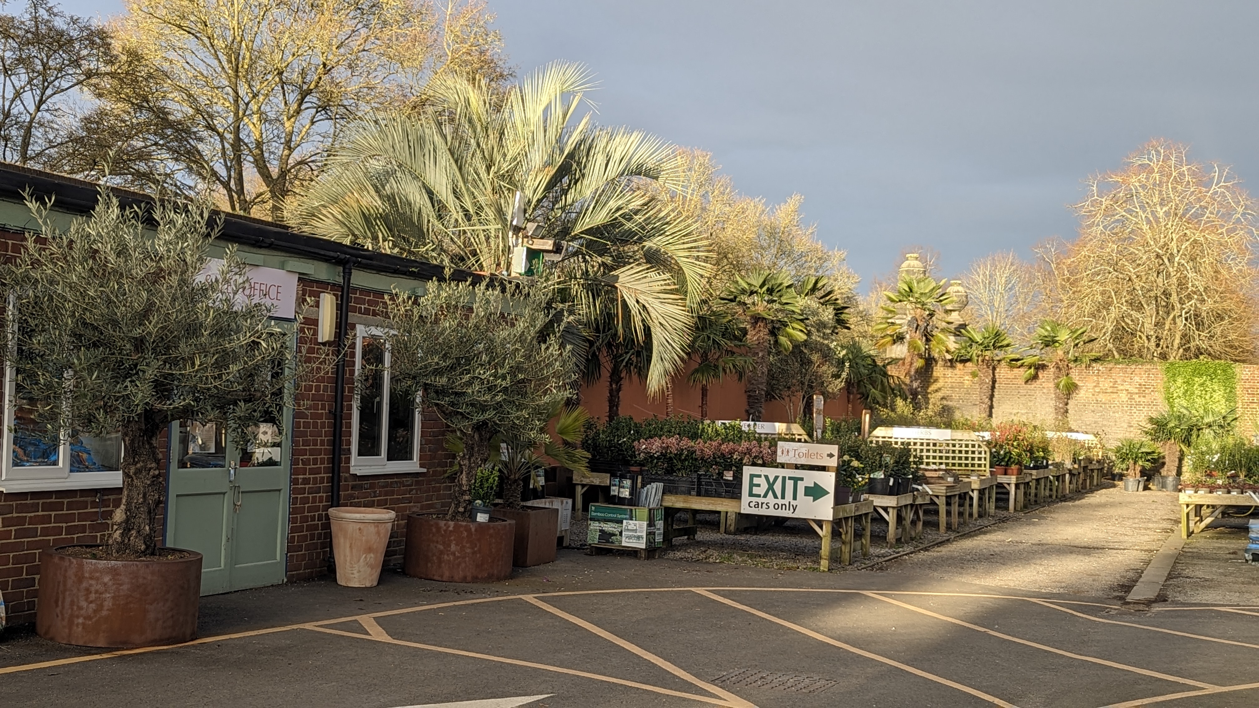 The Palm Centre nursery